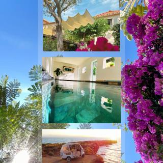 La Jabotte - Antibes - 0