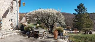 Les gîtes du Domaine de Piedmoure, piscine, terrasses privées, jusqu'à 15 pers - Sault - 7