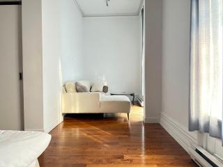 Large 2 Bedroom in the heart of downtown Montreal std1 - 9