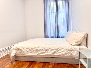 Large 2 Bedroom in the heart of downtown Montreal std1 - 6