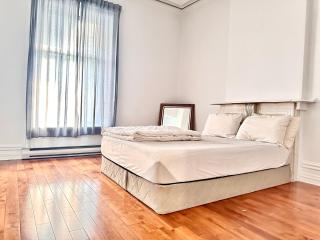 Large 2 Bedroom in the heart of downtown Montreal std1 - 1