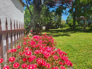Casa Fleurdelys Toscana - Fauglia - 8