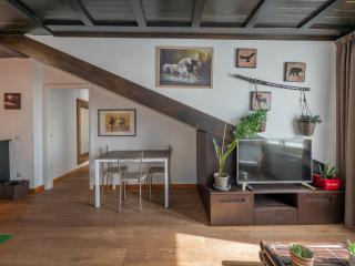 Xenia Apartments - Penthouse in Porta Venezia - Milan - 1