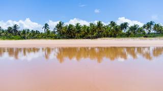 Apartamento pé na areia em Algodões, Península de Maraú Bahia - Marau - 1