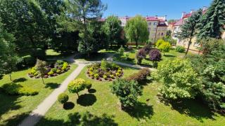 Apartament na Błoniach - Sanok - 6