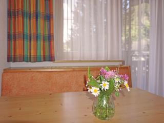 Apartment Diana-1 by Interhome - Pettneu am Arlberg - 4