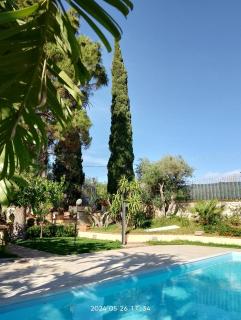 Villa Flora - Castellammare del Golfo - 8