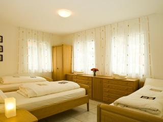 Apartment A22 by Interhome - Leukerbad - 5