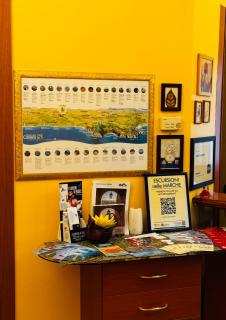 Hotel Softwood - Recanati - 5