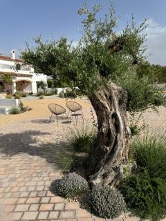 KAUKABA-Apartamentos Rurales- Adults Only - Pozo Alcón - 3