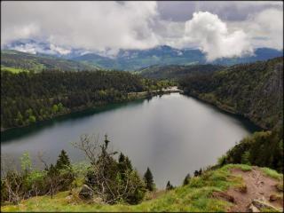 Sur la rive du Lac - Orbey - 5