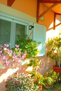 ARIADNI DREAM HOUSE - - 6