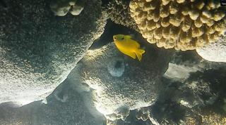 Scandic Resort Apartments - 2