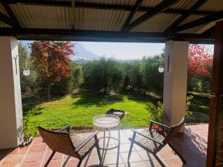Abundance in Riebeek - 5