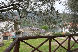 Casa Vacanze Dalisa Ulivo B con Parcheggio - Tramonti - 9