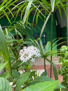 Cabinas Mitchaelle's - 1