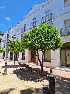 Cabildo Plaza 1 Sanlúcar de Barrameda - Sanlúcar de Barrameda - 5