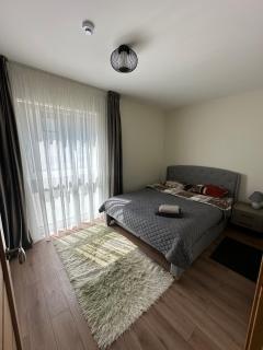 Vėžių apartamentai - 1
