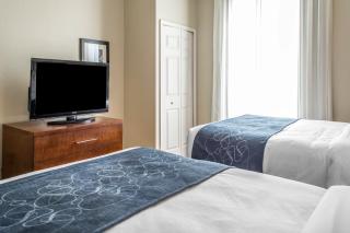 Comfort Suites Near Potomac Mills - Woodbridge - 8