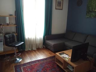 Superbe appartement près des transports - Le Perreux-Sur-Marne - 7