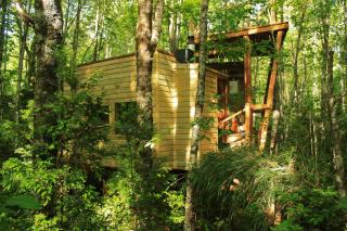 Casita Arbol - Puerto Fuy - 5