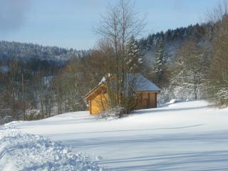Chalet des platanes Entre l'Alsace et les Vosges Nature - 9
