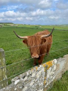 Glengolly Getaways - Thurso - 6