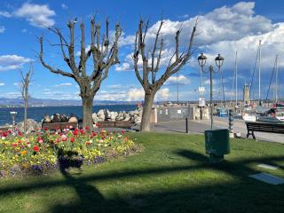 Nido tra castello e lago - Desenzano del Garda - 5