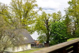 Ferienwohung Müritzfreude OG - Marienfelde - 8