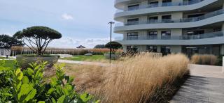 Dwa Apartamenty Rogowo Pearl z prywatną sauną lub tarasem na dachu - 6