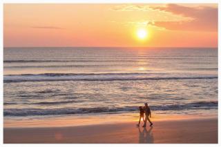 Ocean Front 2BR Condo Amazing Sunrise View - Ormond Beach - 0