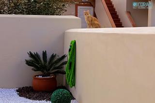 Villa al mare - I CORALLI - Valledoria - 2