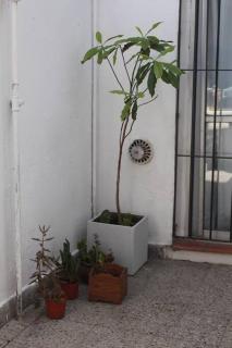 Casa muy cómoda y luminosa - Mar del Plata - 3