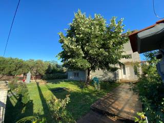 Filemial House - Agios Mamas - 7