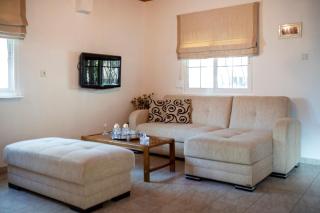 Makri Beach Villa - Nea Makri - 2