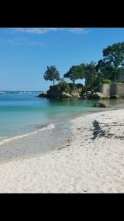 Appartement neuf sur la Riviera bretonne - Fouesnant - 9