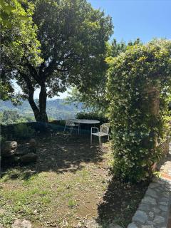 Peralta Tuscany - Camaiore - 5