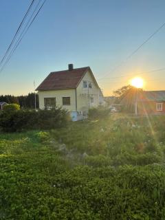 Sunny House - Bud - 0