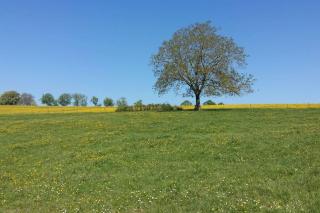 Natur Oasis - - 7