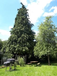 Natur Oasis - - 3