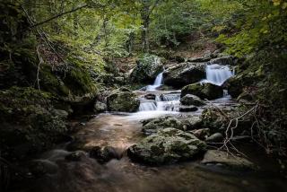 L'appartement des Albères - 1