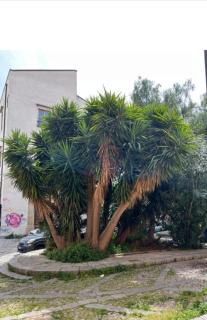 Sicily guest house 2 - Palermo - 7
