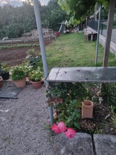Apartman Daša - Rijeka - 1