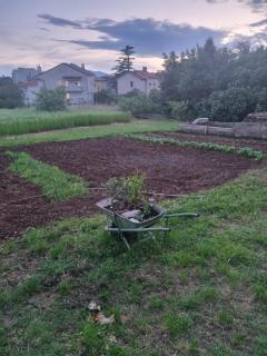 Apartman Daša - Rijeka - 3