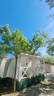 Camping Dal Pino - Marina di Massa - 2