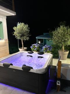 Apartments and spa MIONA - Virpazar - 8