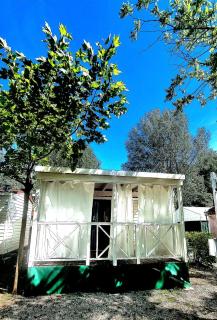 Camping Dal Pino - Marina di Massa - 3