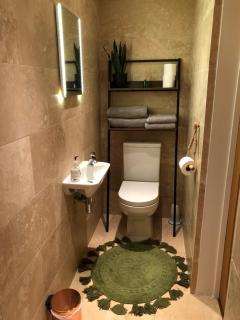 The Mush-Room - 6