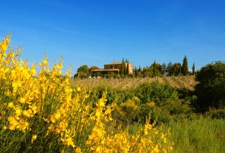 Tenuta Santagnese - Montepulciano - 8