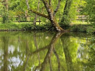 La Maison de l'Etang - Manerbe - 9